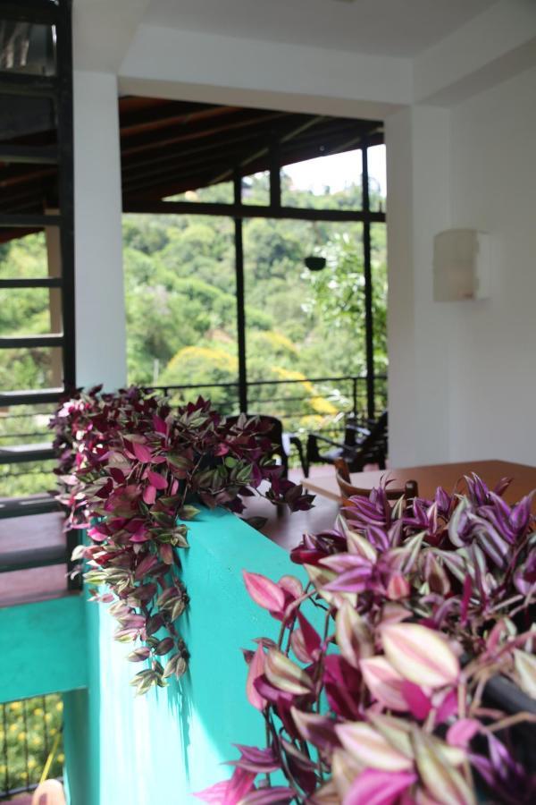 Rawana Mountain View Homestay Ella Exteriér fotografie