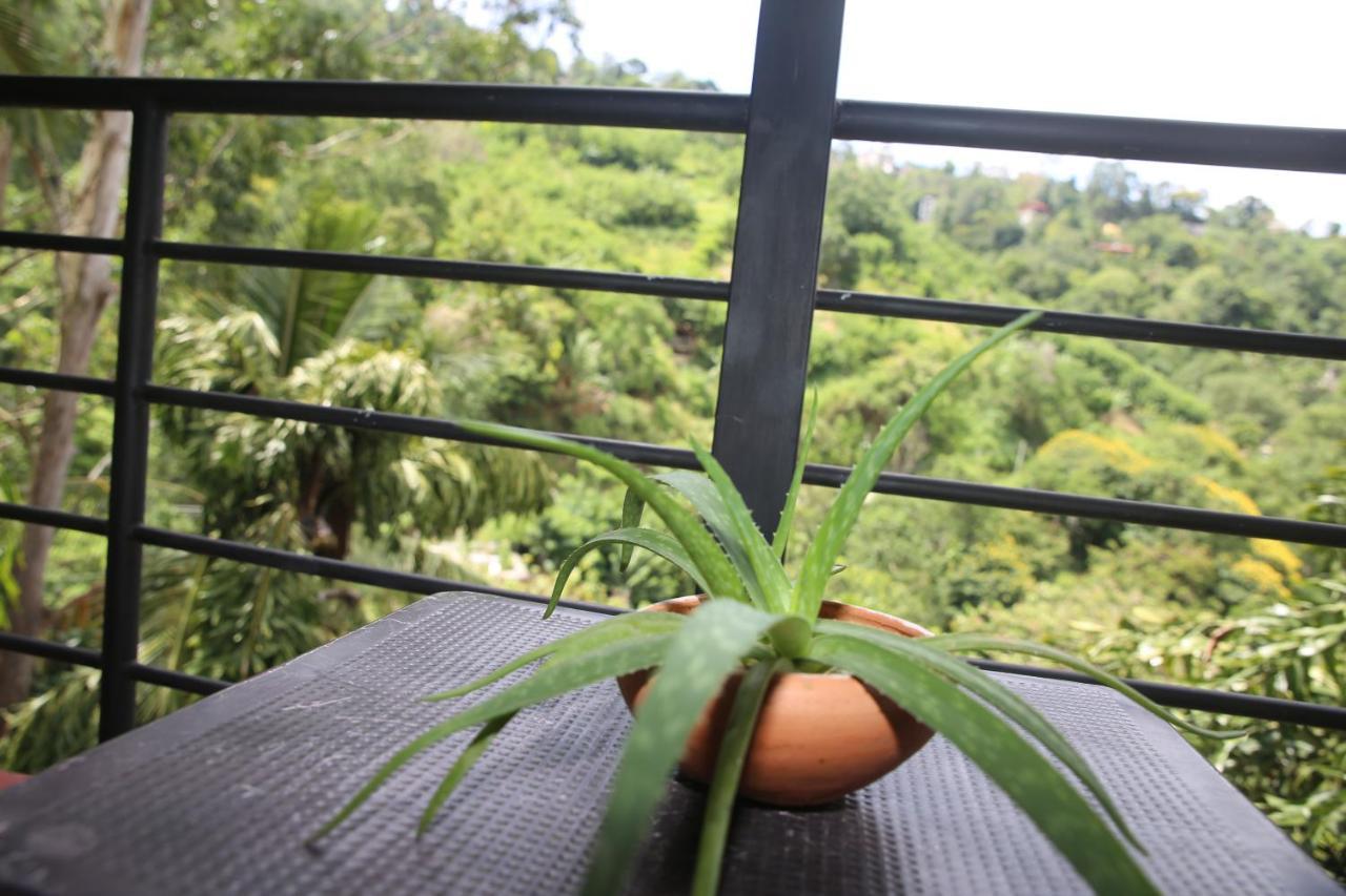 Rawana Mountain View Homestay Ella Exteriér fotografie